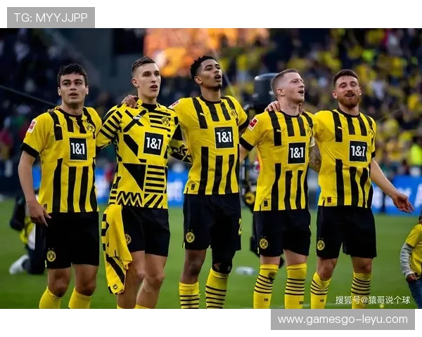 皇家马德里欧冠历史战绩解析：辉煌足迹铸就传奇